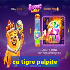 ca tigre palpite