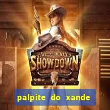 palpite do xande para hoje