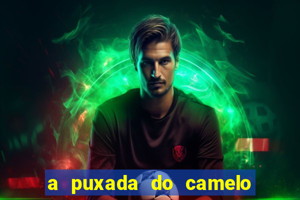 a puxada do camelo no jogo do bicho