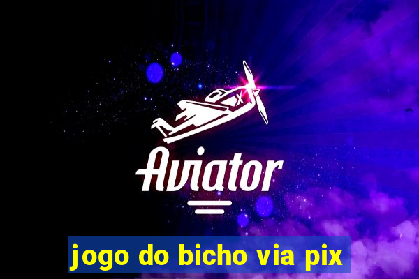 jogo do bicho via pix