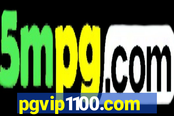 pgvip1100.com