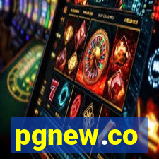 pgnew.co