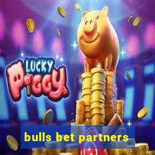 bulls bet partners