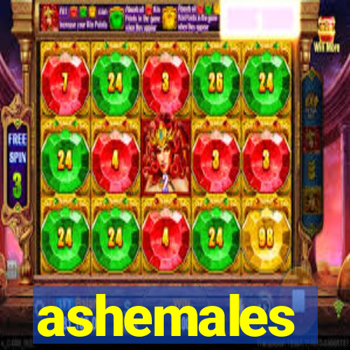 ashemales