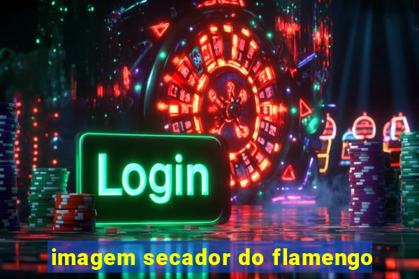 imagem secador do flamengo