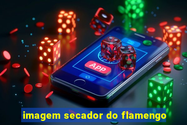 imagem secador do flamengo