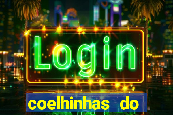 coelhinhas do brasil site