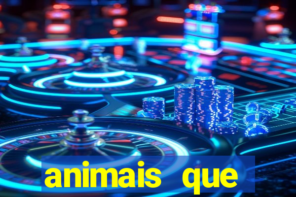 animais que produzem l茫