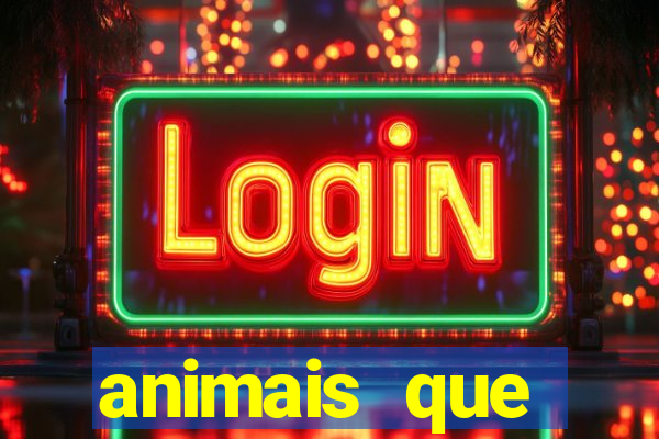 animais que produzem l茫