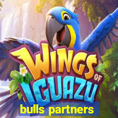 bulls partners