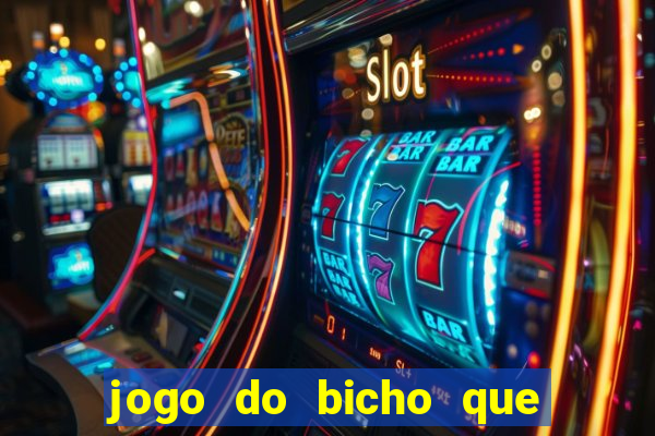 jogo do bicho que paga no pix