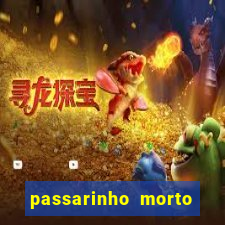 passarinho morto significado espiritual