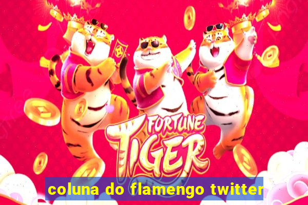 coluna do flamengo twitter