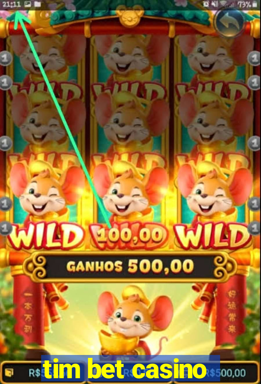 tim bet casino