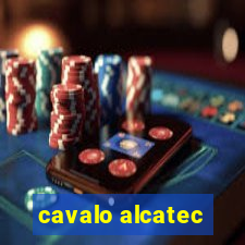 cavalo alcatec