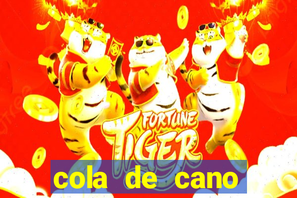 cola de cano quanto tempo para secar