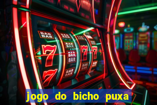 jogo do bicho puxa de dona maria