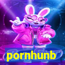 pornhunb