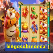 bingosobreoeca