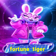 fortune tiger source code