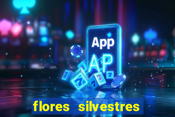 flores silvestres desbravadores desbravadores 25 flores silvestres e seus nomes