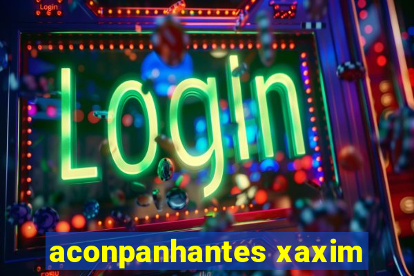 aconpanhantes xaxim