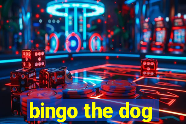 bingo the dog