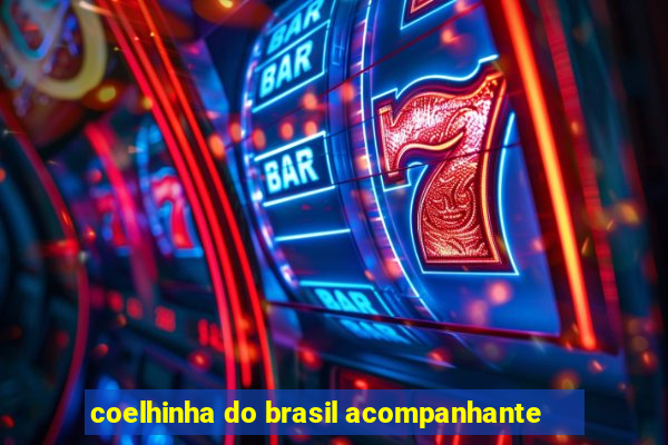 coelhinha do brasil acompanhante