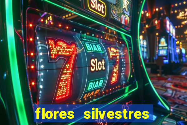 flores silvestres desbravadores desbravadores 25