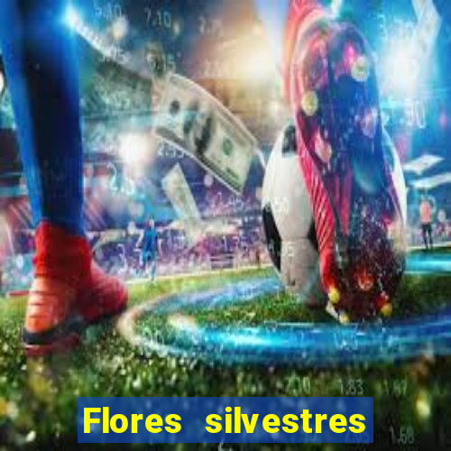 Flores silvestres brasileiras brasileiras flores silvestres nomes e imagens