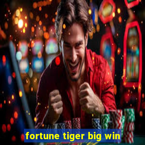 fortune tiger big win