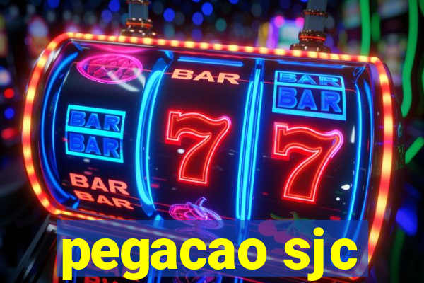 pegacao sjc