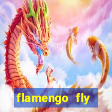 flamengo fly emirates ultimas noticias