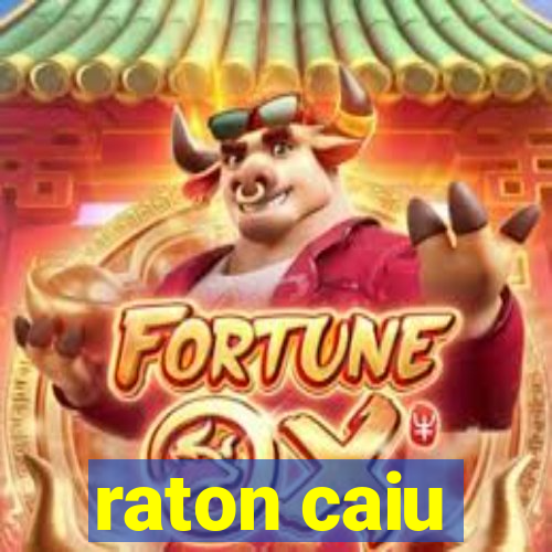 raton caiu