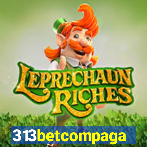 313betcompaga