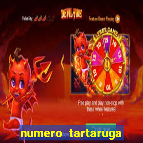 numero tartaruga jogo do bicho