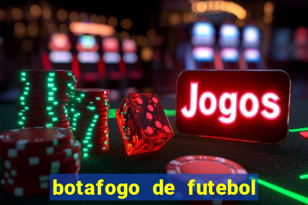 botafogo de futebol e reg