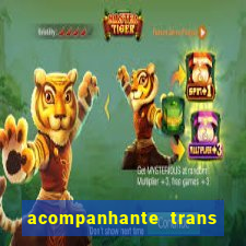 acompanhante trans de porto alegre