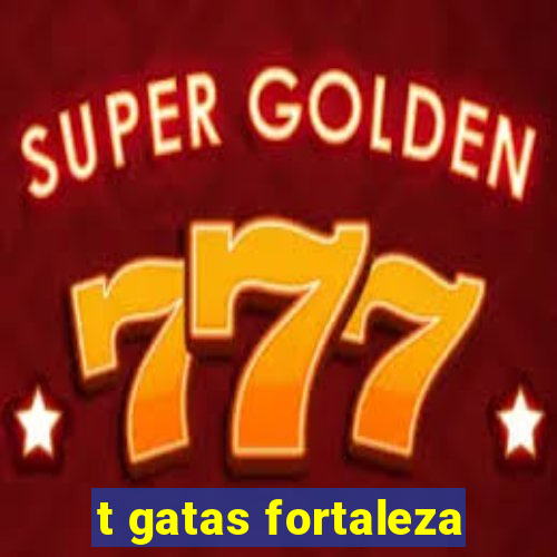 t gatas fortaleza