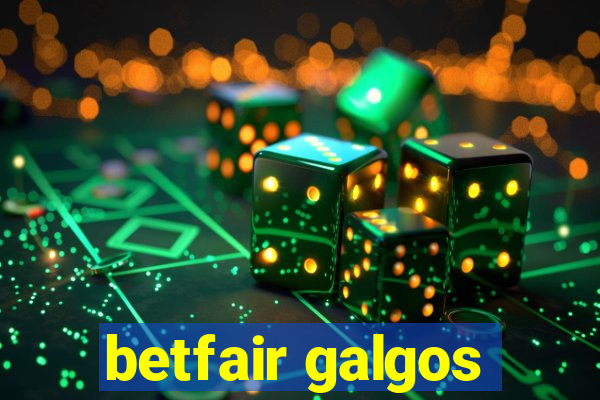 betfair galgos