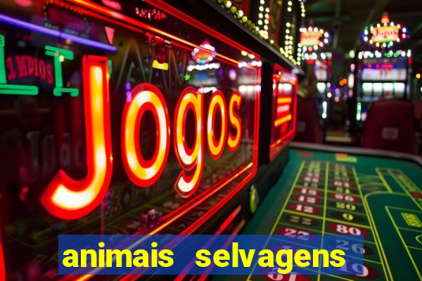 animais selvagens fotos e nomes