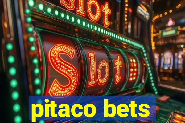 pitaco bets