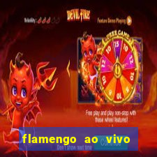 flamengo ao vivo multi canais