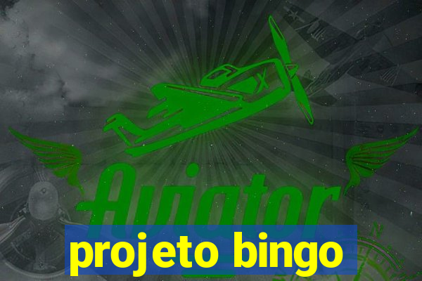 projeto bingo