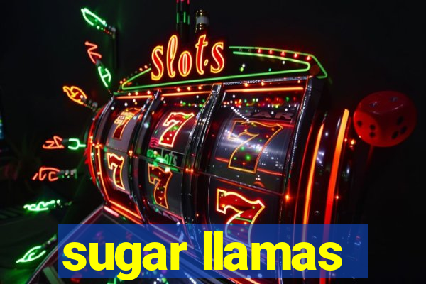 sugar llamas