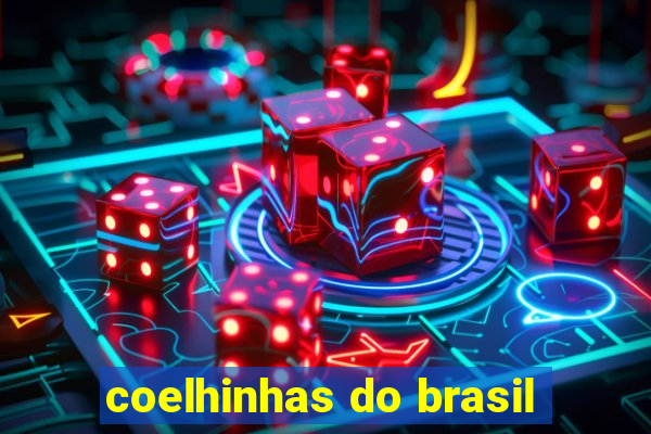 coelhinhas do brasil