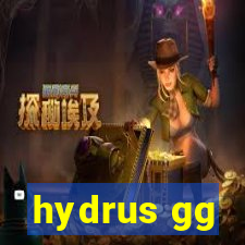 hydrus gg