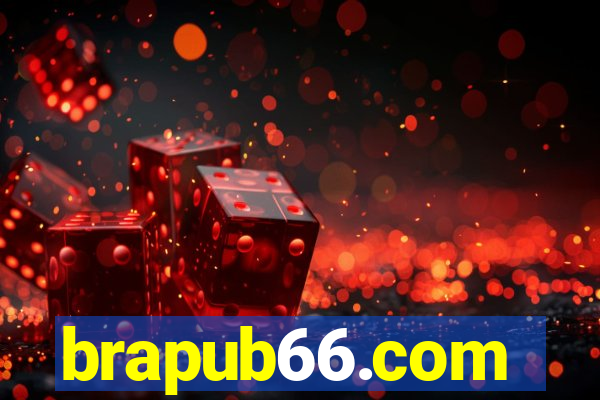 brapub66.com