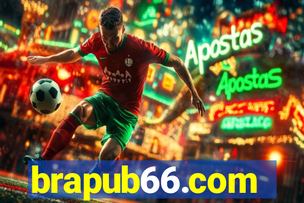 brapub66.com