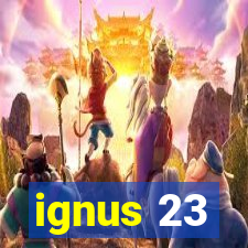 ignus 23